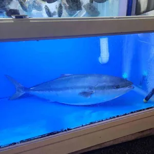 활마트 리뷰 사진