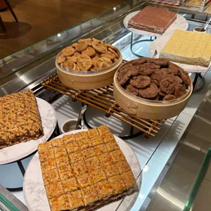 바르미 심비디움 사진