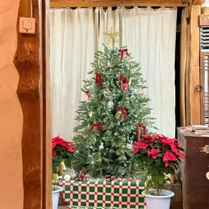 카페보리 리뷰 사진