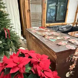 카페보리 리뷰 사진