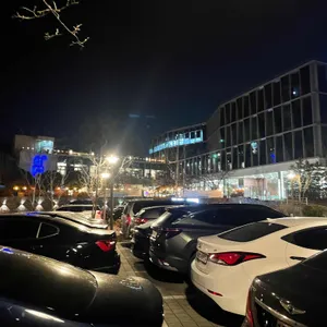 전통황실양고기 리뷰 사진