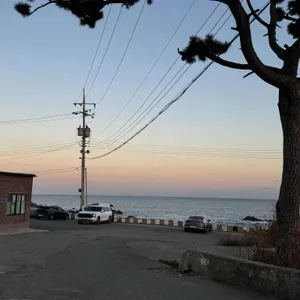 일광정담솥밥 리뷰 사진