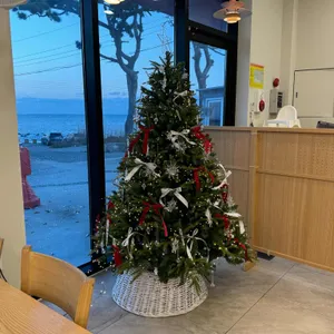 일광정담솥밥 리뷰 사진