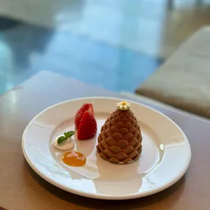 소노펠리체 델피노 더엠브로시아 사진