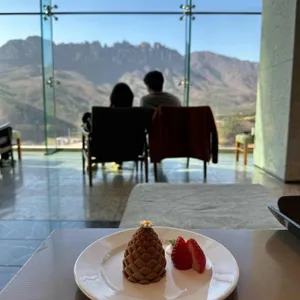 소노펠리체 델피노 더엠브로시아 사진