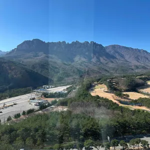 소노펠리체 델피노 더엠브로시아 리뷰 사진