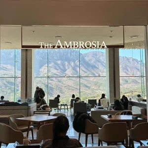 소노펠리체 델피노 더엠브로시아 리뷰 사진