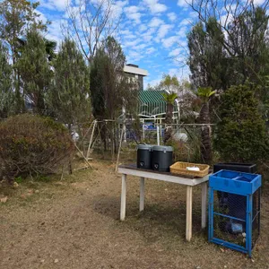헤이블루 리뷰 사진