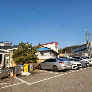 콩마당 리뷰 사진