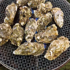 대천 조개구이 대표 사진