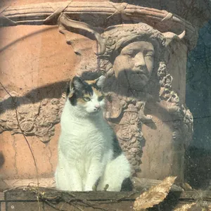 로스가든카페앤비노 리뷰 사진