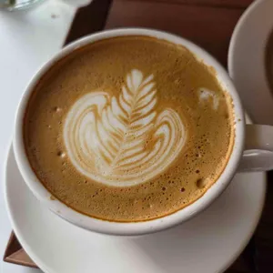 우트우트 대표 사진