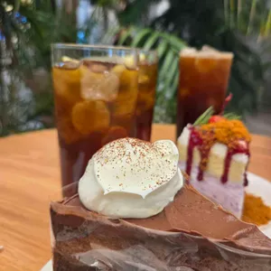 사우스플랜 사진