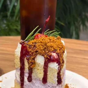 사우스플랜 사진