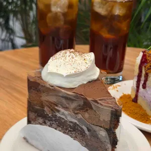 사우스플랜 사진