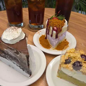 사우스플랜 사진