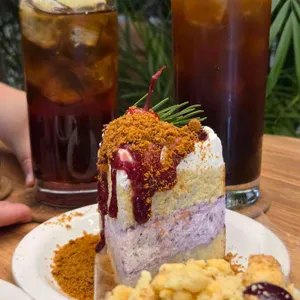 사우스플랜 사진