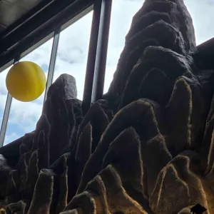 아리랑 도원 리뷰 사진