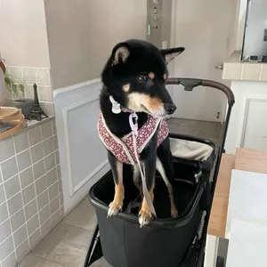 카페 우호 리뷰 사진