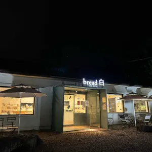 브레드백 리뷰 사진