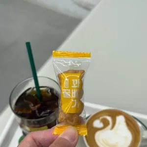 샷로스터스 사진