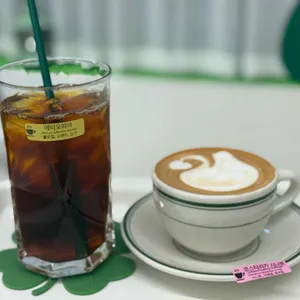 샷로스터스 사진