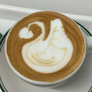 샷로스터스 사진