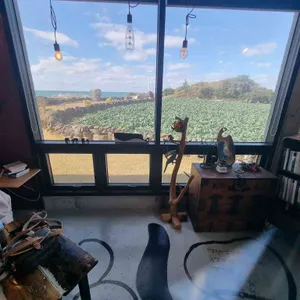 인디55 리뷰 사진