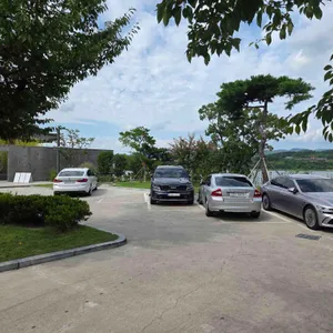 엘로우 리뷰 사진