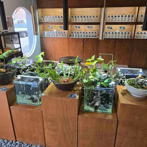 카페 베타 현 리뷰 사진