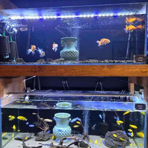 카페 베타 현 리뷰 사진