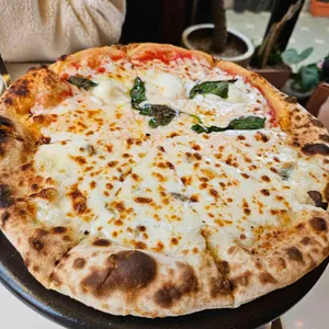 지오쿠치나 사진