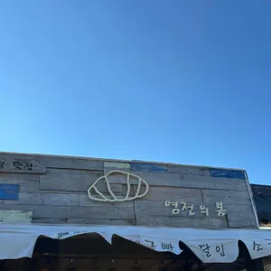 염전의봄 대표 사진