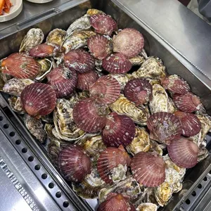 굴사냥 리뷰 사진