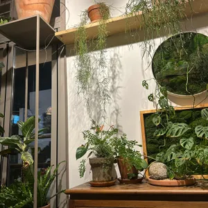 오쎄 리뷰 사진