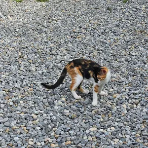 소풍 리뷰 사진