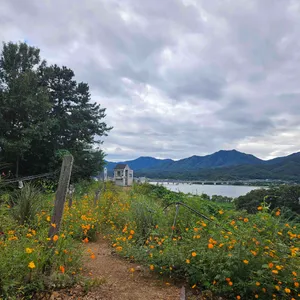 소풍 리뷰 사진