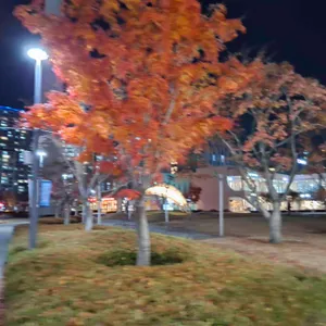 풍국면 리뷰 사진