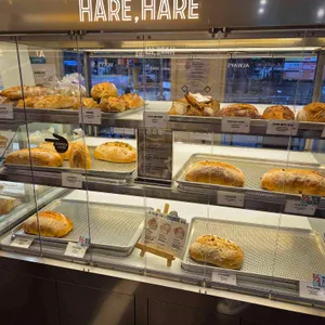 하레하레 대표 사진