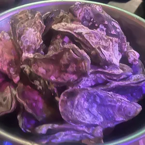 이번생은먹자 잔&잔 소주호프 사진 2