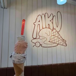 아이쿠 리뷰 사진