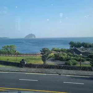 바다를본돼지 리뷰 사진