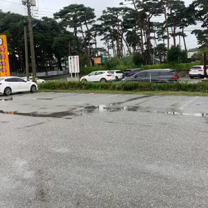 초당본가짬뽕순두부 리뷰 사진