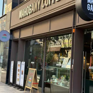 마호가니 대표 사진