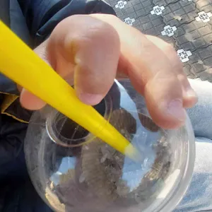 메가MGC커피 사진