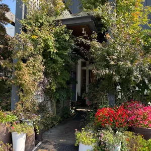 단풍나무 리뷰 사진