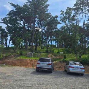 랑도네 리뷰 사진