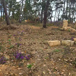 랑도네 리뷰 사진