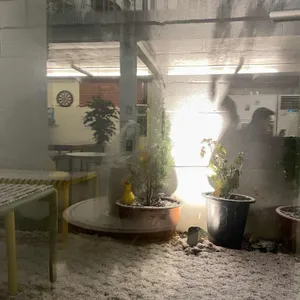 드림요거트 리뷰 사진