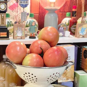 클로이샌드위치 리뷰 사진